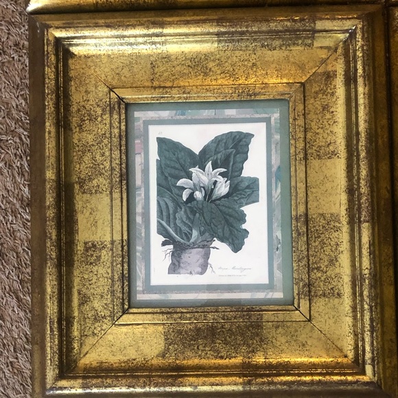 Pictures - Picture 2 of 5